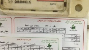 تسجيل قراءة عداد الغاز بتروتريد 2025: خطوات دقيقة وسداد الفاتورة بطرق متعددة